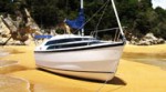 macgregor26
